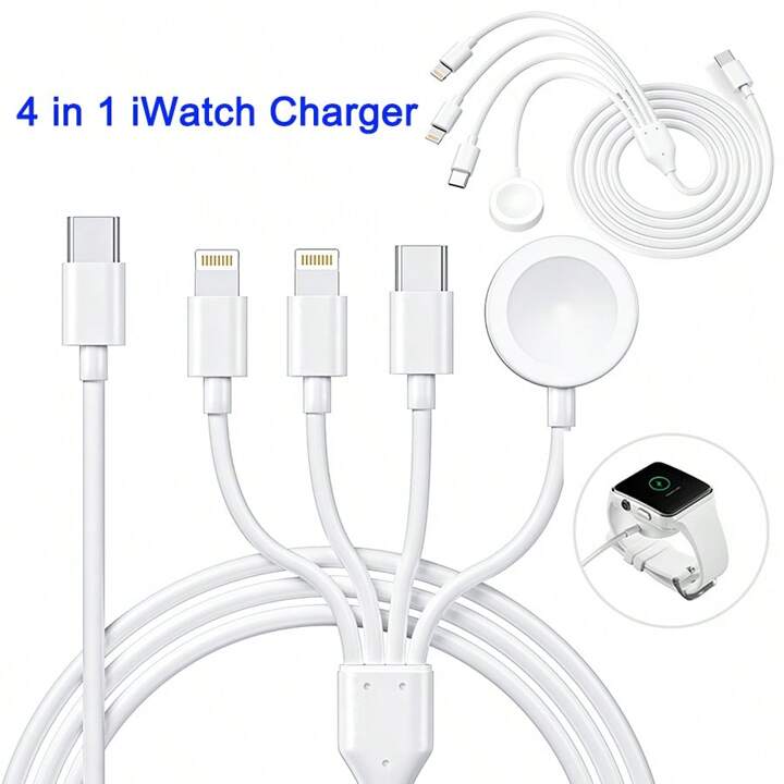 Câble de Charge USB-C 4-en-1 