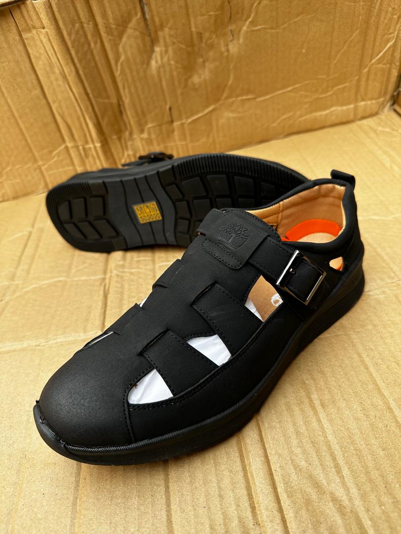 Chaussures Urbain  Timberland 